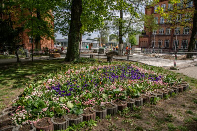 Budowa Centrum Przesiadkowego